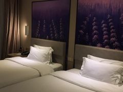 -麗枫酒店(拉萨火车站店)