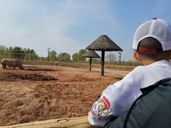 -鄂尔多斯野生动物园