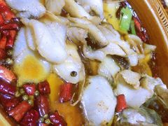 -鸡毛店·川菜(双楠店)