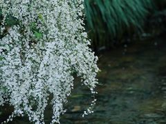 -中国茶叶博物馆(双峰馆区)