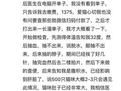 -佳怡动物医院·平价24小时·猫专科骨外科