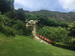 -青青世界