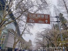 -鸡鸣寺
