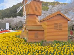 -苏州上方山国家森林公园