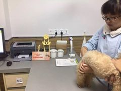 -爱侣宠医·鹦鹉专科·小型哺乳类·异宠专科(灵石路店)