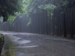 -山王坪喀斯特国家生态公园