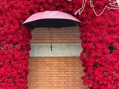 -西安电影制片厂