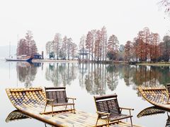 -东湖落雁景区