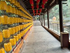 -明月山天沐温泉度假村