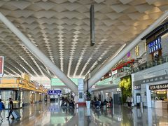 -河南特产汇(郑州新郑国际机场店)