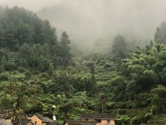 -杨家堂村