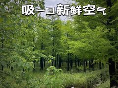 -广富林郊野公园