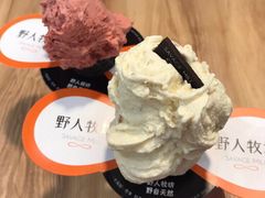 -野人先生现做冰淇淋(西安赛格店)