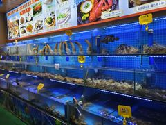 -前王院•巧克力海鲜市集餐厅(万平口店)