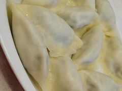 猪肉韭菜水饺-客临百思德·东北特色馆(龙湖时代天街店)