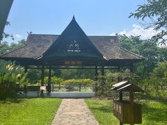 -中国科学院西双版纳热带植物园