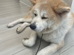 -YCHL Studios健身工作室(市二宫店)