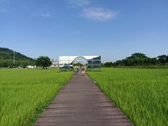 -艾米稻香小镇