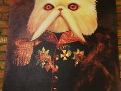 -猫小院猫主题咖啡厅(北锣店)