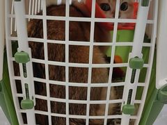 -宠颐生猫科·内科皮肤科(西平世纪城店)