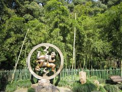 景点-杭州黄龙洞