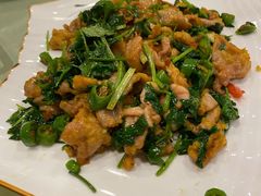 -燕风楼烤鸭店(建设总店)