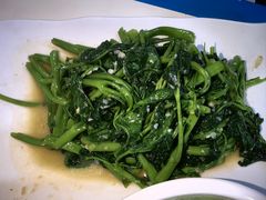 -天一沾水肥肠(科园一街店)