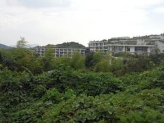 android_upload_pic-天目湖涵田度假村