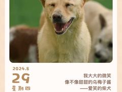 -吕氏疙瘩汤·新派鲁菜(芝罘万达店)