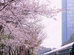-砂之船奥莱(南京江宁店)