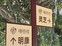 -椿杨樘·明康泡浴养生馆(重庆店)