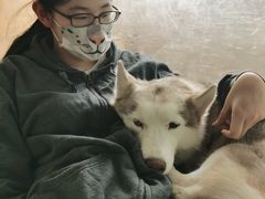 -Husky Go! 哈士奇体验馆·宠物咖啡厅狗咖