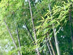 -苏州环秀晓筑养生度假村
