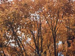 -山王坪喀斯特国家生态公园