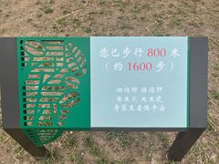 -大兴滨河森林公园