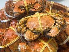 -蟹天蟹地农家菜·阳澄湖大闸蟹(浅水湾店)