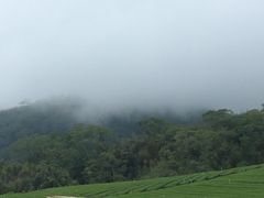 -优游吧斯邹族文化部落