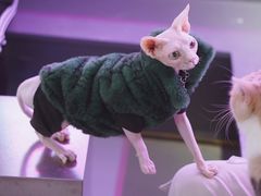-极木²邸 人与宠物·互动社区