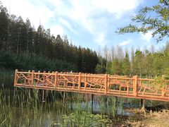 -黄海国家森林公园