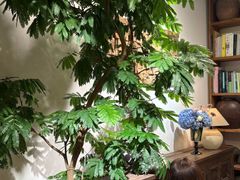 -自由生长植物工作室(深港花卉中心店)