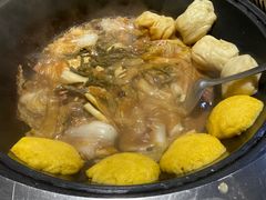 -桃源村铁锅炖鱼(体育馆道店)