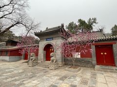 -红螺寺