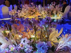 -曼格纳婚礼艺术中心(张江店)