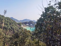 -南山植物园
