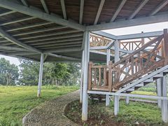 -桑洲油菜花景区