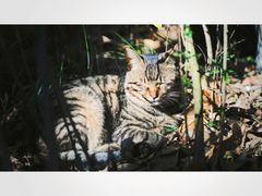 -浙江万里学院(钱湖校区)