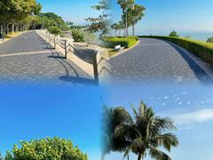-深圳湾公园(南山区)