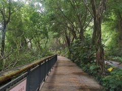 -金鸡山公园