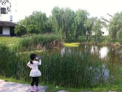 iphone_upload_pic-锦江中华村农家乐饭庄