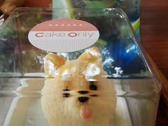 -柴犬高等学院·狗咖·柴犬售卖·宠物训练